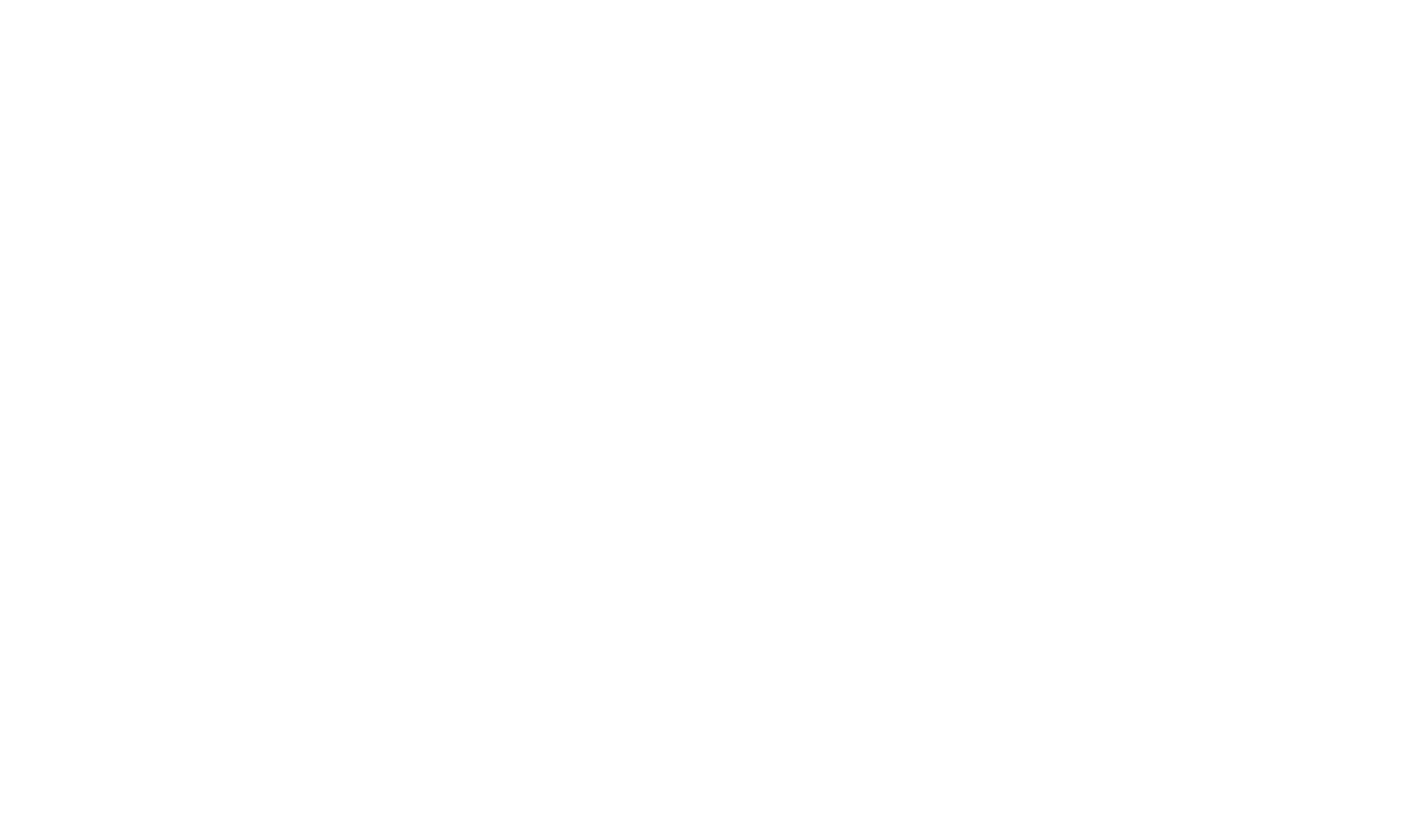 ndd logo